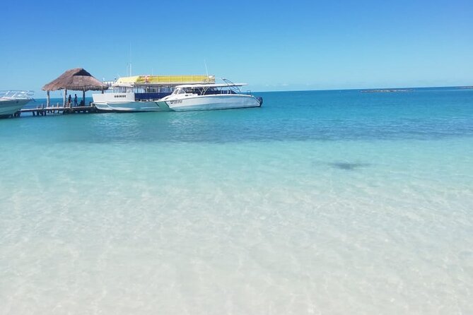 Full Day Tour to Isla Contoy and Isla Mujeres from Cancun - Isla Contoy National Park: what you’re really buying with those hours