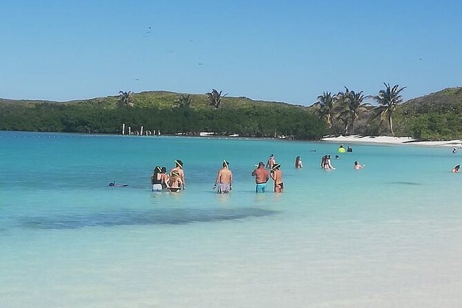 Full Day Tour to Isla Contoy and Isla Mujeres from Cancun - Isla Mujeres: one hour for Playa Norte or town, and how to use it well