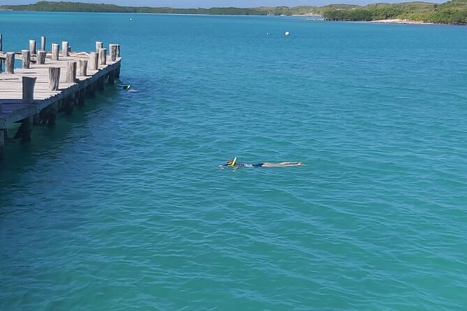 Full Day Tour to Isla Contoy and Isla Mujeres from Cancun - Price and value check: what $189 really covers