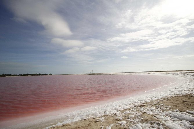 Full-Day Tour to Las Coloradas Pink Paradise in Yucatan and Rio Lagartos. - Key highlights worth planning for