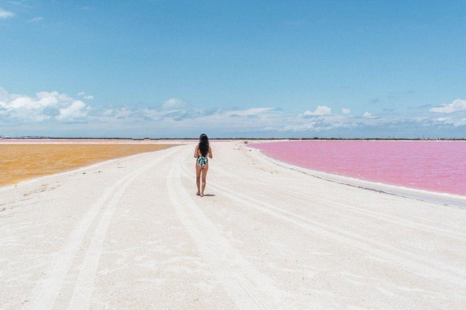 Full-Day Tour to Las Coloradas Pink Paradise in Yucatan and Rio Lagartos. - Los Negritos lunch and the crocodile farm stop