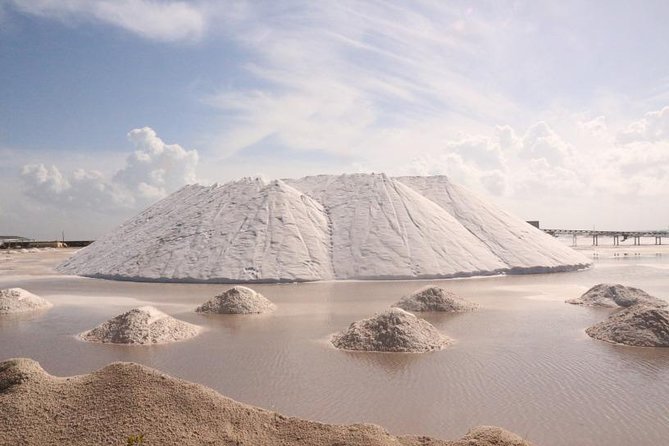 Full-Day Tour to Las Coloradas Pink Paradise in Yucatan and Rio Lagartos. - Guide quality and what to expect from the tour pace