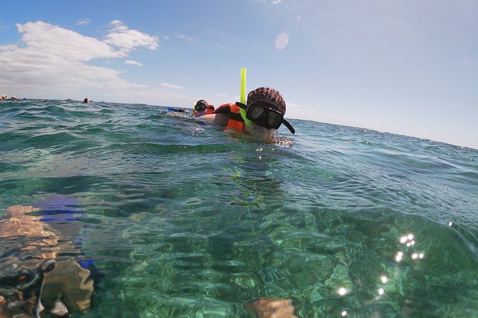 Guided Tour of Puerto Morelos Reefs with Snorkeling Experience - Puerto Morelos Reef Park: the real value of going with a guide