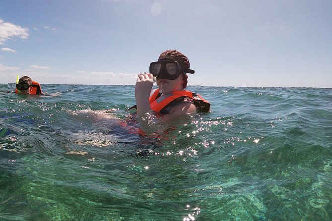 Guided Tour of Puerto Morelos Reefs with Snorkeling Experience - Two reef areas: marine life first, big coral second