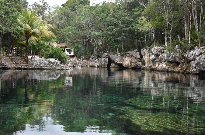 Half Day Cenotes Tour - How many cenotes will you actually see?