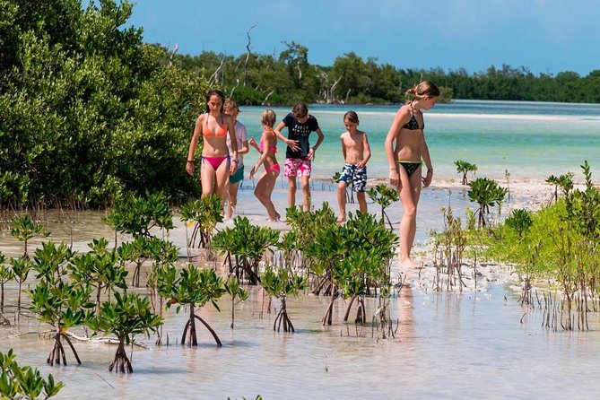 Holbox and Passion Island Full-Day Tour with Cenote, Transportation and Lunch - Holbox and Cenote Yalahau: What You’re Really Buying