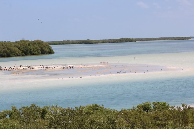 Holbox Island Tour from Cancun - Lunch and the pace: good support for a long day