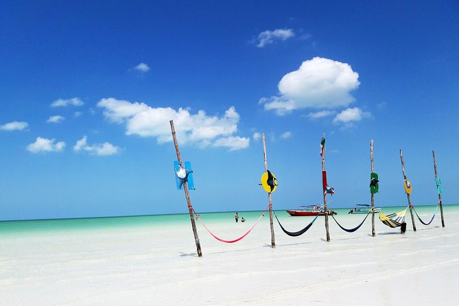 Holbox tour from Cancun and Riviera Maya - Price and Value: What $149 Buys You (and What It Doesn’t)