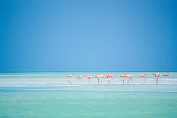 Holbox tour from Cancun and Riviera Maya - Chiquilá to Holbox: The Boat Ride Portion That Sets the Tone