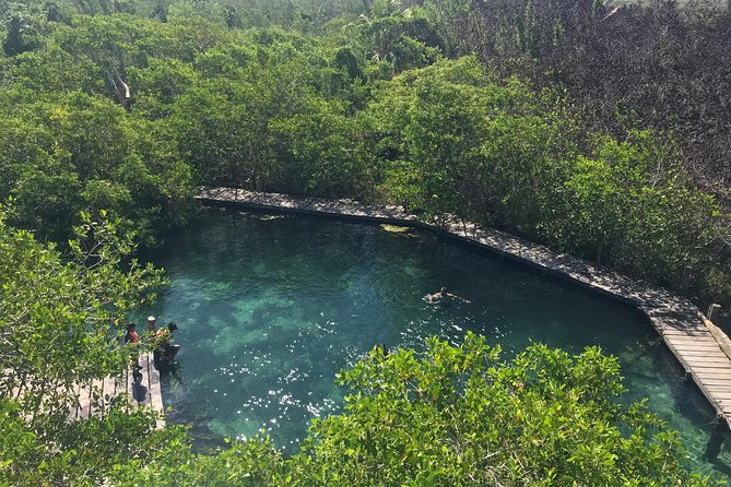 Holbox tour from Cancun and Riviera Maya - Cenote Yalahau: Mangroves, Fresh Cool Water, and a Tight Time Window