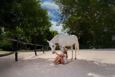 Horseback Riding and Cenote Swim from Cancun or Playa del Carmen - The Horse Intro: Matching You to the Right Mount