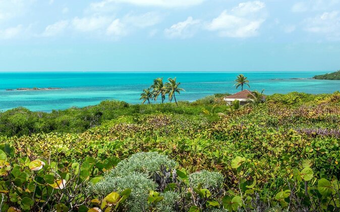 Isla Contoy Incredible Tour! Round Transportation From Cancun & Playa Del Carmen - Isla Contoy and Ixlache Reef: why this tour feels worth it