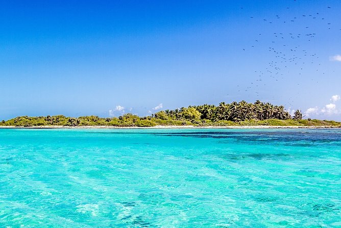 Isla Contoy Incredible Tour! Round Transportation From Cancun & Playa Del Carmen - Who should book this day trip (and who should skip it)