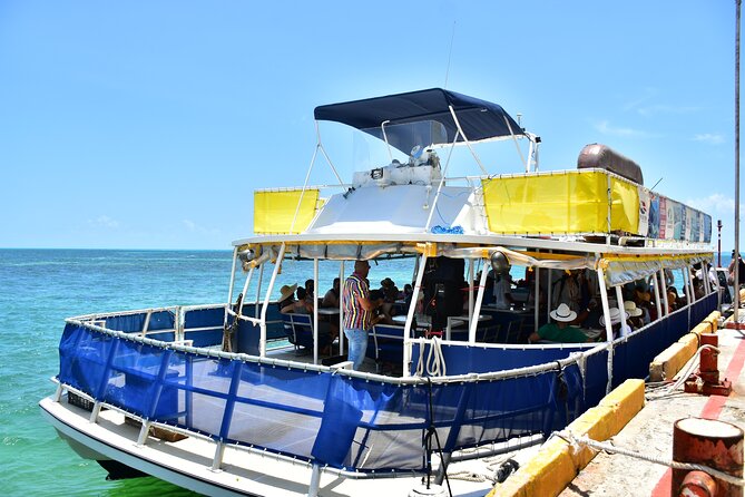 Isla Contoy Incredible Tour! Round Transportation From Cancun & Playa Del Carmen - Catamaran ride basics: comfort, bar timing, and the group vibe