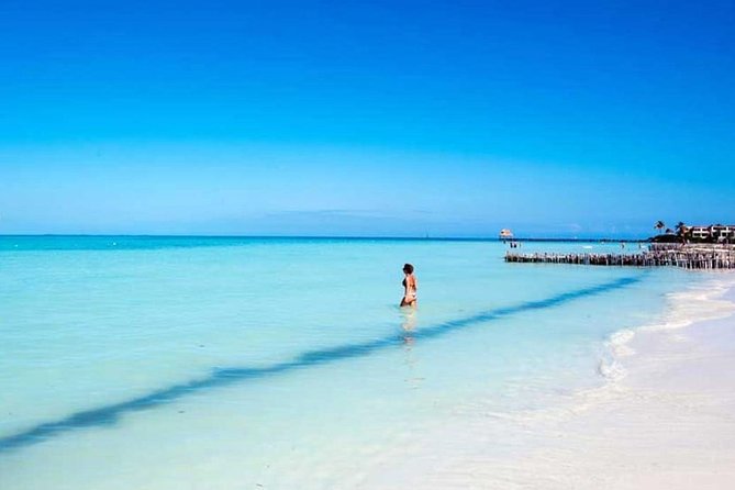 Isla Contoy & Isla Mujeres Tour from Cancun & Playa Del Carmen - Timing and Weather: Why This Tour Works Best With the Right Mindset