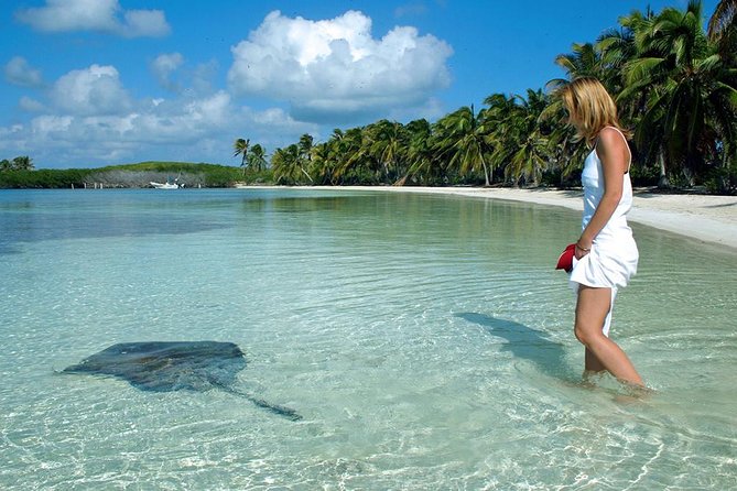 Isla Contoy & Isla Mujeres Tour from Cancun & Playa Del Carmen - Stop 1: Isla Contoy Snorkeling and Guided Nature Time