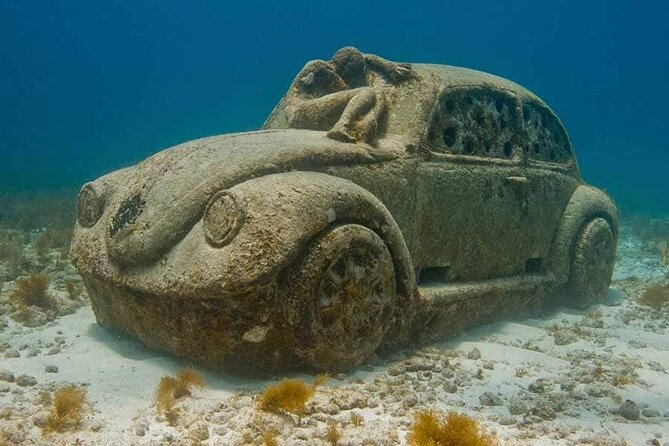 Isla Mujeres : All Inclusive Albatross Plus Tour with Transportation - Cancun to Isla Mujeres by catamaran: the day-trip pace