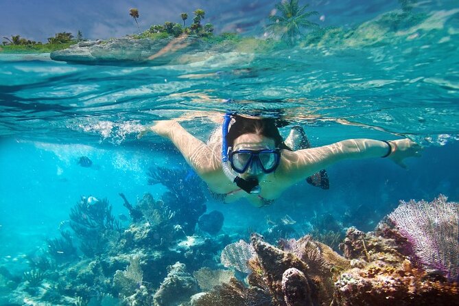 Isla Mujeres Catamaran Tour with Snorkeling, Open Bar & Buffet - Stop 1: Reef Snorkeling in Isla Mujeres (45 Minutes)