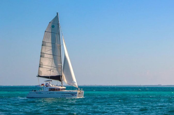 Isla Mujeres Discovery Tour - Snorkeling in Meco: the part where you need to be realistic
