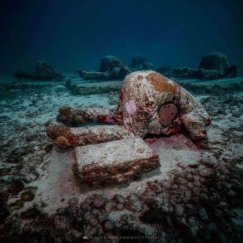 Isla Mujeres: MUSA and the Manchones Reef: 2 Tank Dive Tour - Where MUSA Meets Manchones Reef at 30 Feet