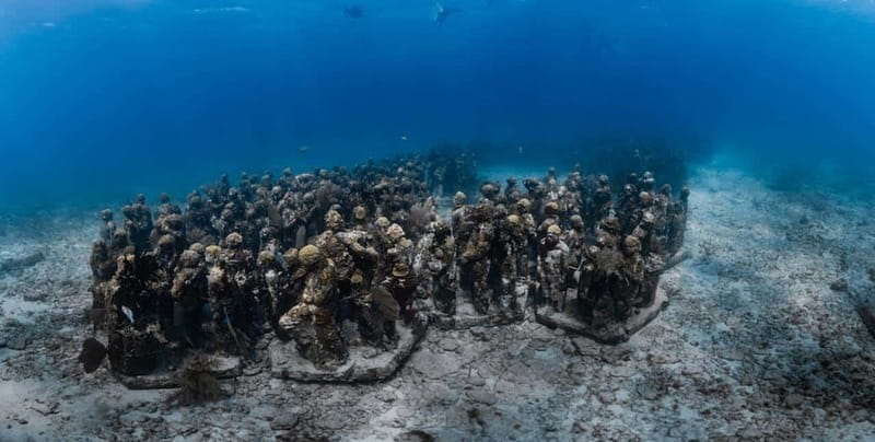 Isla Mujeres: MUSA and the Manchones Reef: 2 Tank Dive Tour - Should You Book This Isla Mujeres 2-Tank MUSA and Manchones Tour?