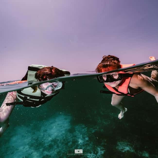 Isla Mujeres - MUSA and the Manchones Reef - Snorkel - Stop 1: MUSA Underwater Sculpture Park and What Snorkeling Actually Shows
