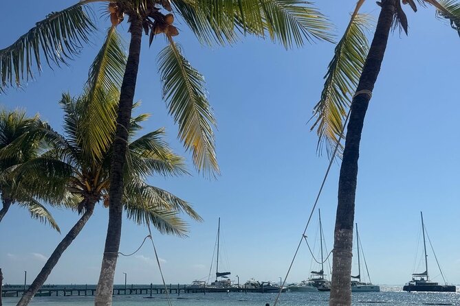 Isla Mujeres Plus Tour with Snorkeling Buffet and Open Bar - A 7-hour Isla Mujeres Plus catamaran day that actually flows
