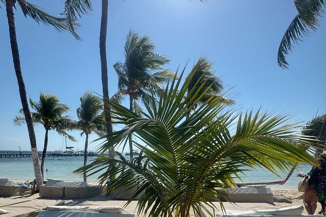 Isla Mujeres Plus Tour with Snorkeling Buffet and Open Bar - Stop 3: Playa Norte beach club—buffet lunch and real beach time