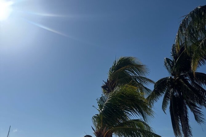 Isla Mujeres Plus Tour with Snorkeling Buffet and Open Bar - Food, drinks, and snorkel gear: what’s included (and what that means for you)