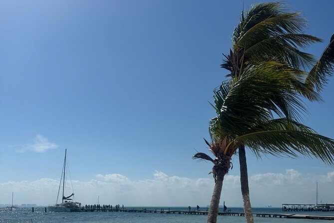 Isla Mujeres Plus Tour with Snorkeling Buffet and Open Bar - Start at Marina Albatros: how the day kicks off