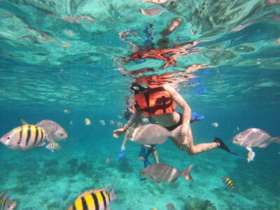 Isla Mujeres: Snorkeling Adventure at the Underwater Museum - Why these reefs: El Farito’s boat-only access