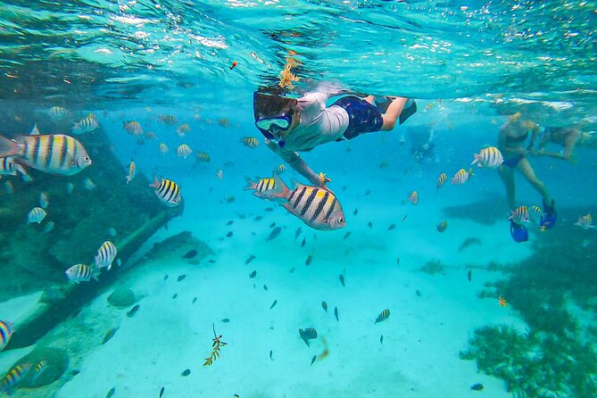 Isla Mujeres Tour, Snorkel and Golf Cart included - Your Own Golf Cart All Day: Freedom With One Big Requirement