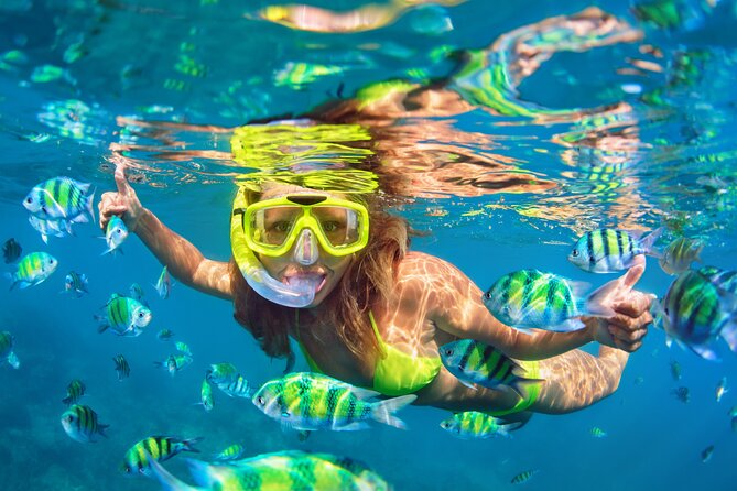 Island Adventure - Who should book Island Adventure, and who might not love it