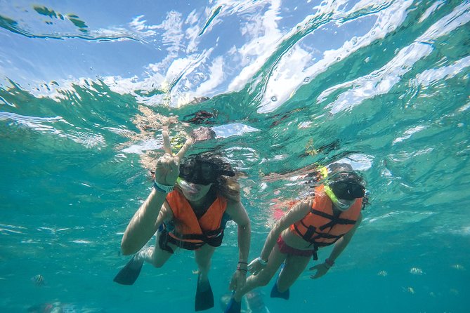 Jungle Tour - Who should book this Jungle Tour (and who should skip it)