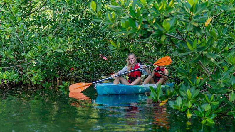 Kayak Tour in Cancun with Photos included - Starting at Marina Kaybal on Blvd. Kukulcan (KM 3.5)