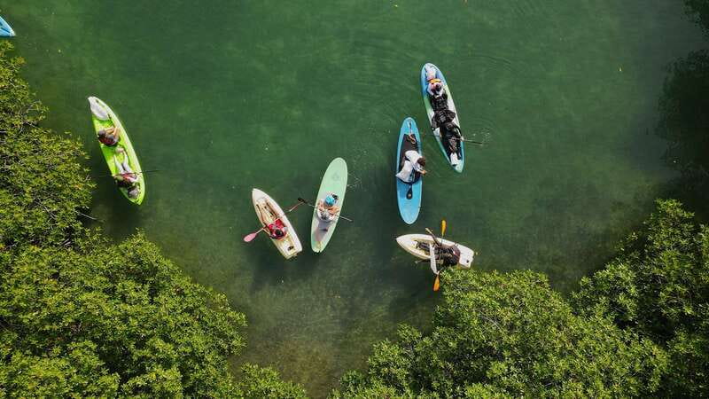 Kayak Tour in Cancun with Photos included - The guided kayak portion: two hours of calm, controlled fun