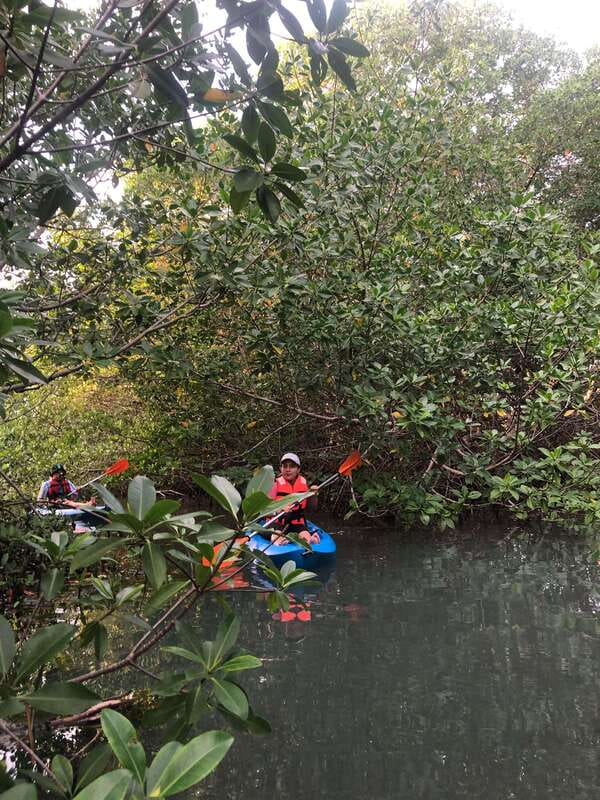 Kayak Tour in Cancun with Photos included - Price and value: what $45 buys you in Cancun