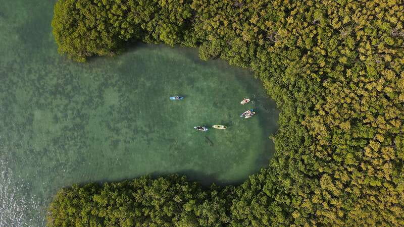 Kayak Tour in Cancun with Photos included - Nichupté Lagoon: the protected Cancun you reach by paddling
