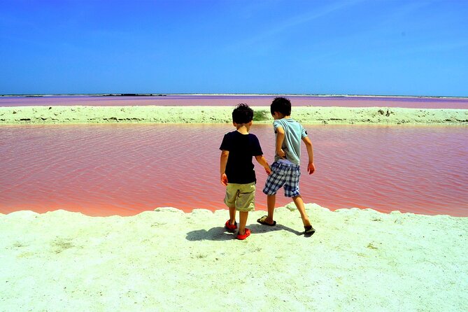 Las Coloradas and Rio Lagartos Tour with All Inclusive - Key Highlights You’ll Actually Care About