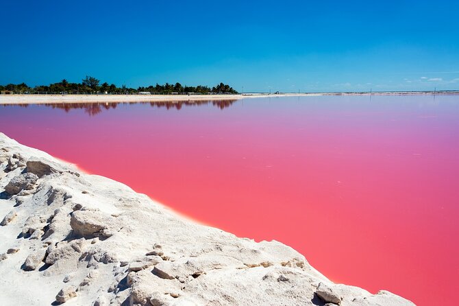 Las Coloradas and Rio Lagartos Tour with All Inclusive - Pickup timing and what can derail your morning