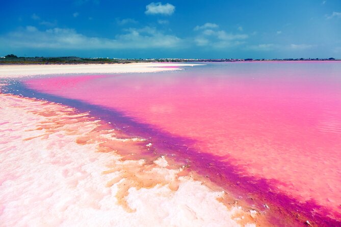 Las Coloradas and Rio Lagartos Tour with All Inclusive - Guides, language, and the small differences that affect your experience
