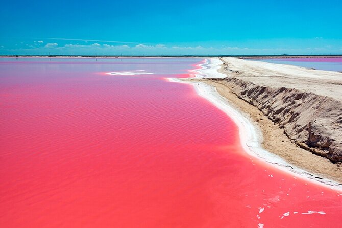 Las Coloradas and Rio Lagartos Tour with All Inclusive - Crocodile farm: The hands-on encounter (and why it matters)