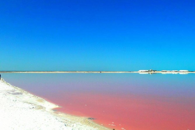 Las Coloradas Tour from Cancun and Playa del Carmen - Las Coloradas pink lagoon photos and salt-making time