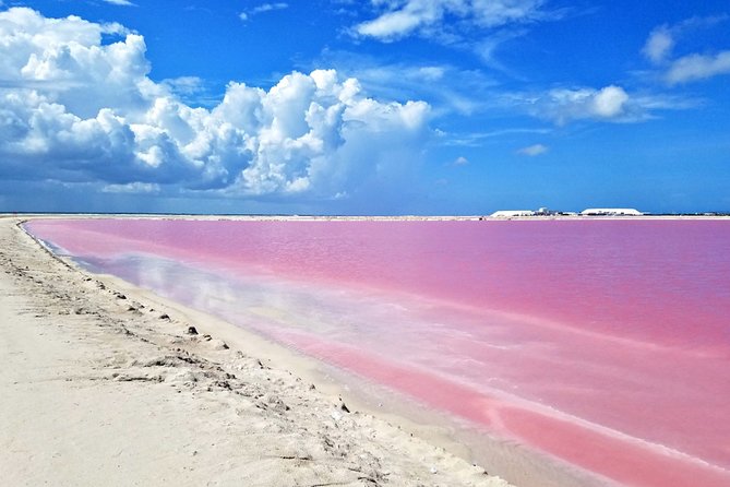 Las Coloradas Tour from Cancun and Playa del Carmen - Crocodile conservation stop: why the wildlife matters