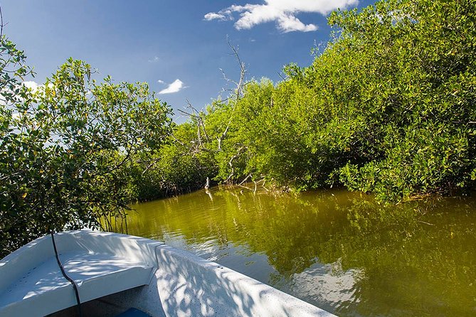 Las Coloradas Tour from Cancun and Playa del Carmen - Comfortable transport and a guide team that actually guides