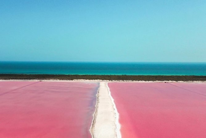 Las Coloradas Tour from Cancun and Playa del Carmen - Río Lagartos boat ride: flamingos, crocodiles, and the mangrove maze
