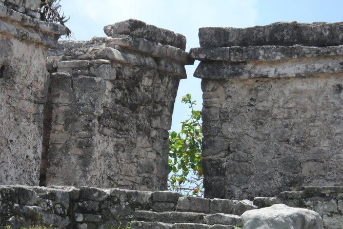LDS Tour to Tulum Ruins + Cenote - Gran Cenote: what you’re actually paying for in the water stop
