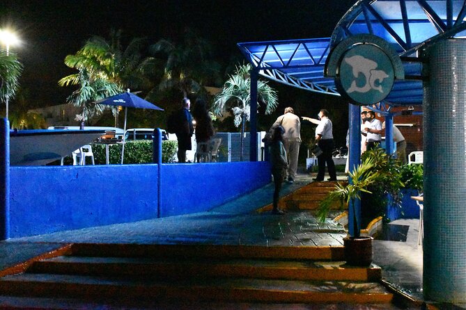 Live a Romantic Night Cruise Dinner at COLUMBUS (open bar included) - Transfers and the One Logistical Detail You Must Confirm