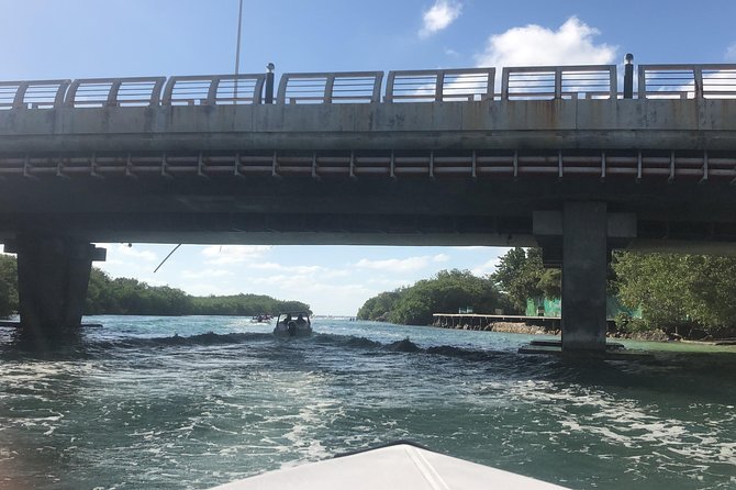 Live the experience of driving an Speedboat & Snorkel in CANCUN - Who This Speedboat & Snorkel Tour Fits Best