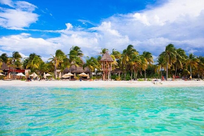 Luxury Catamaran Tour to Isla Mujeres with Transportation - Arrecife El Meco snorkeling: what you’ll see and what to expect in the water